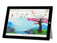 新化Surface 无法开启、Windows 无法启动或电池无法充电